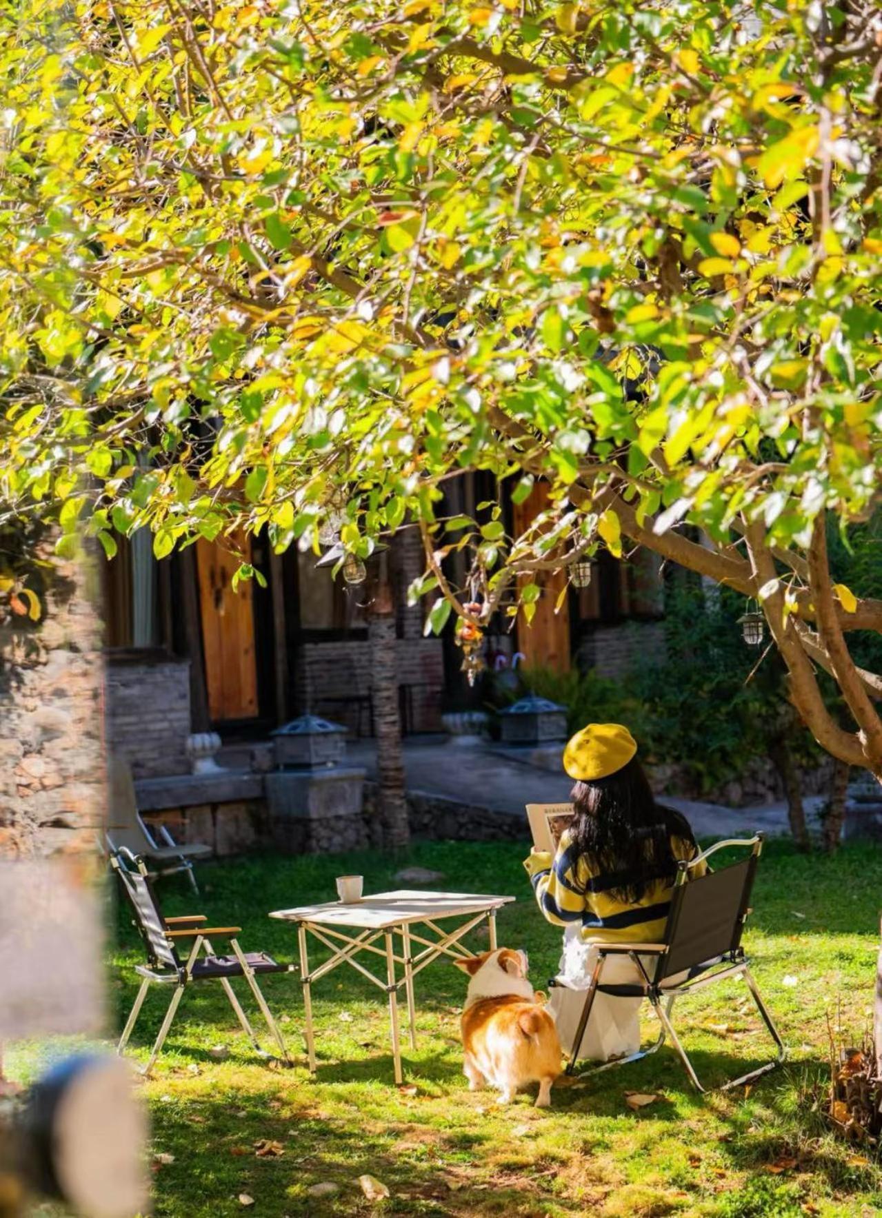 Adonis Inn Lijiang Lijiang  Exterior photo